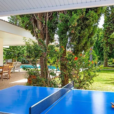 Choli Villa *
